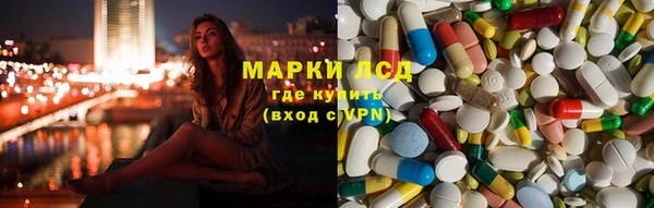 стафф Каменка