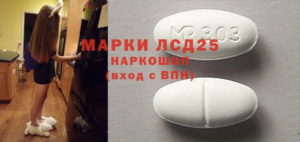 стафф Каменка