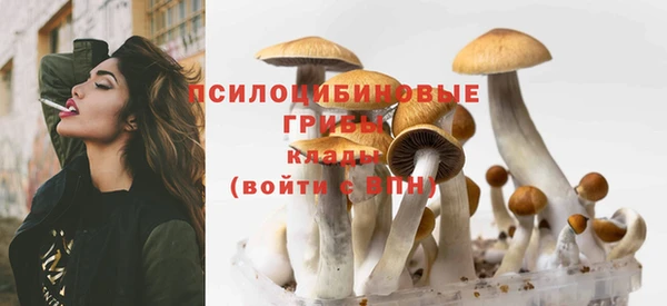 ECSTASY Касимов