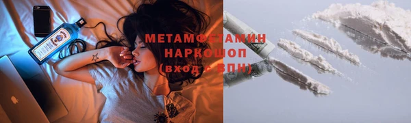 стафф Каменка