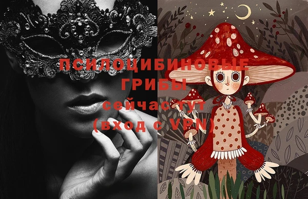 стафф Каменка