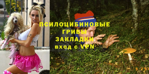гидропоника Каменногорск